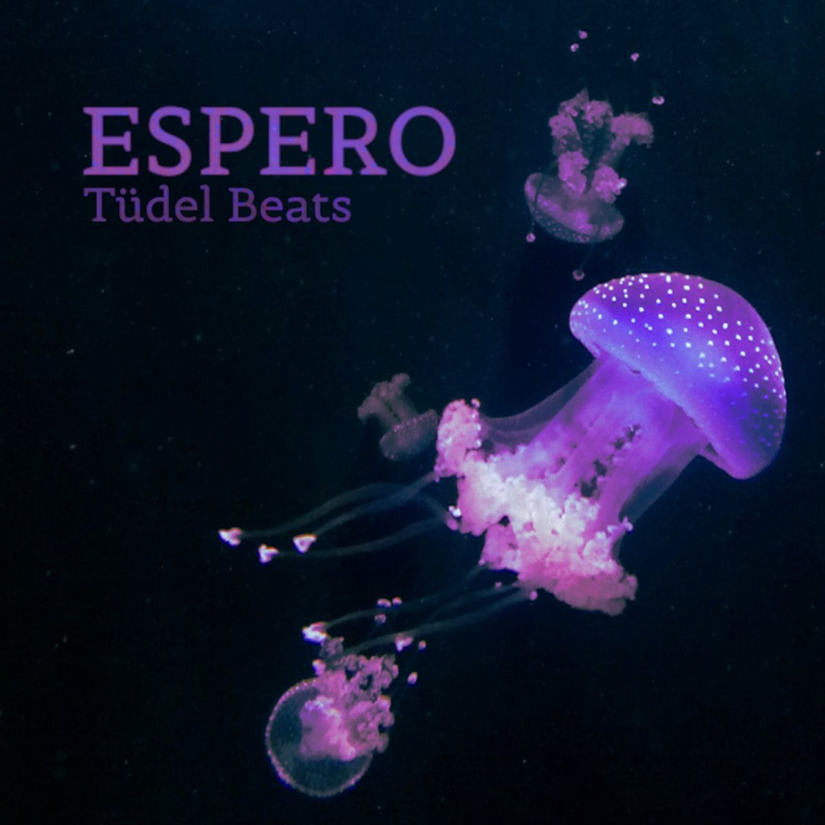 A purple colored photo of swimming jellyfish